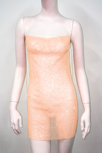 Glisten Mesh Dress