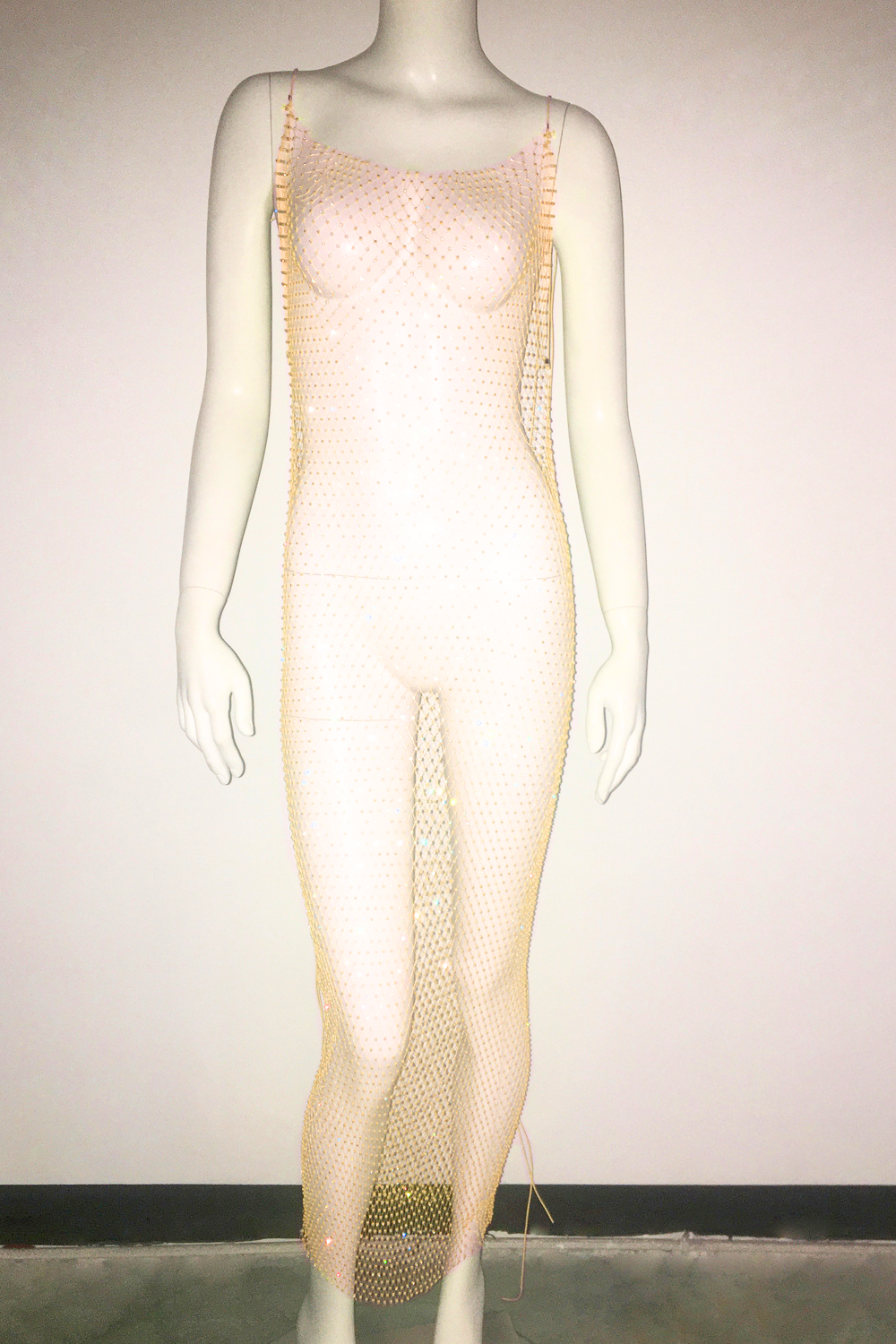 Glisten Mesh Long Dress