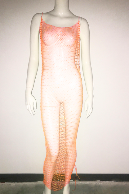 Glisten Mesh Long Dress