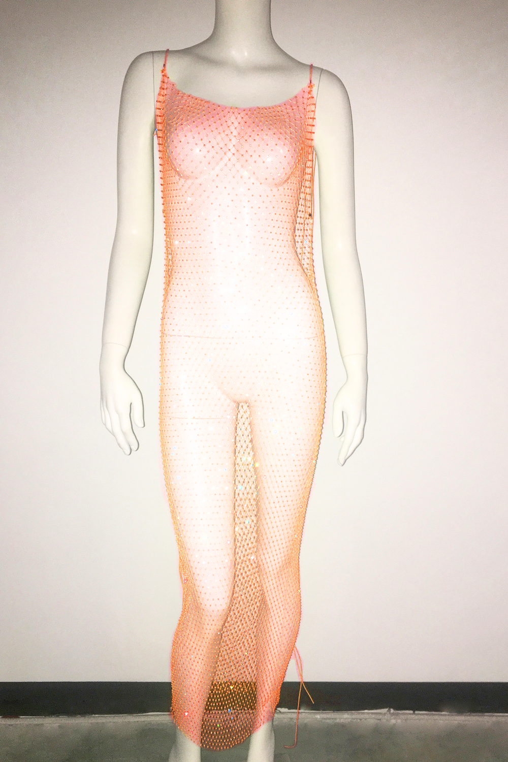 Glisten Mesh Long Dress