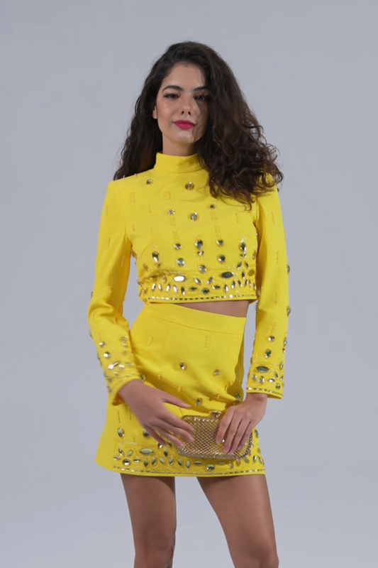 Yellow Crystal Embellished Top Skirt Set