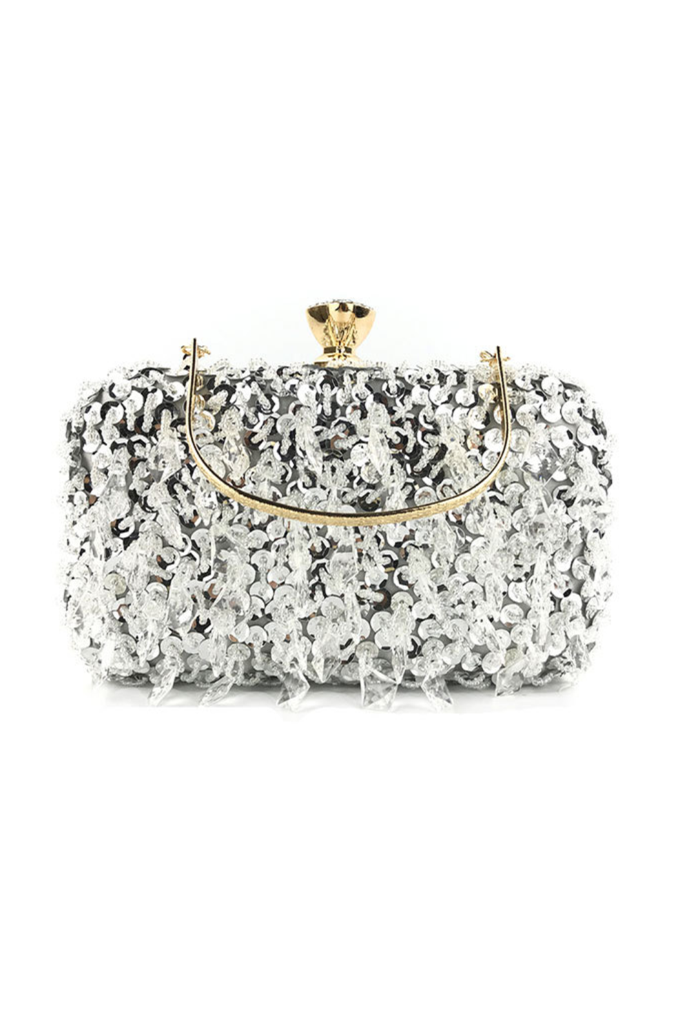 Beading Sequin Bag