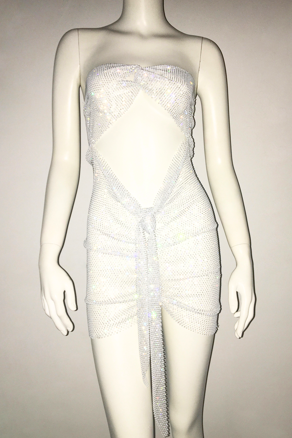 Glisten Mesh Chest Dress