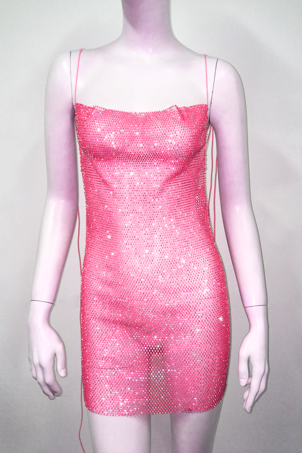 Glisten Mesh Dress
