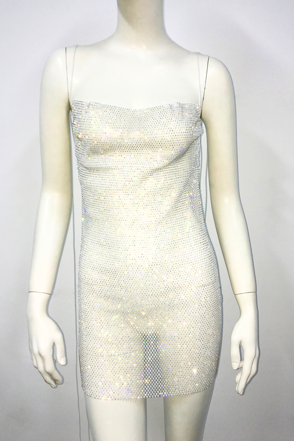 Glisten Mesh Dress