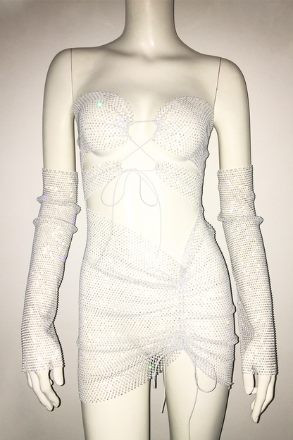 Glisten Mesh Bustier Dress
